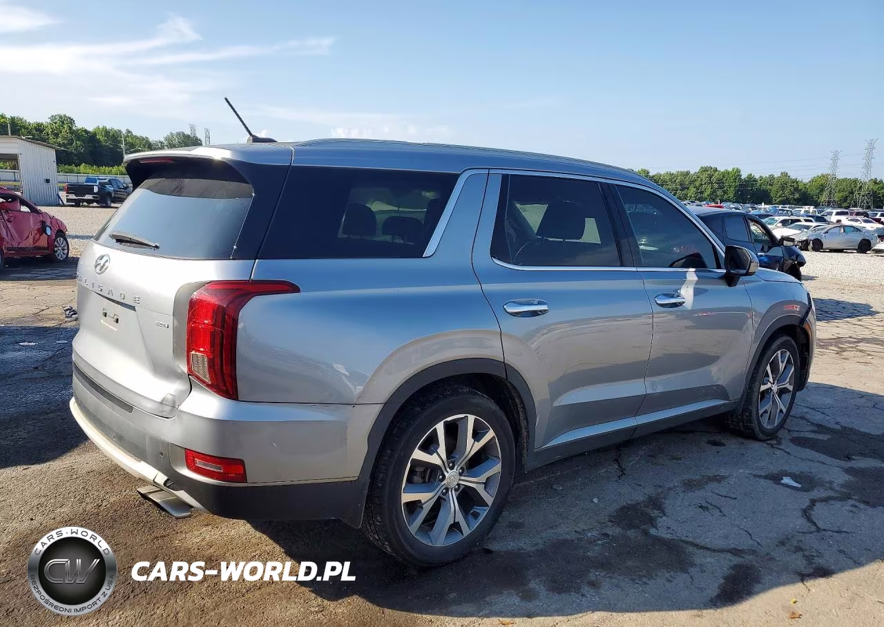 2020 Hyundai Palisade Sel VIN:KM8R3DHE1LU041106 - 3