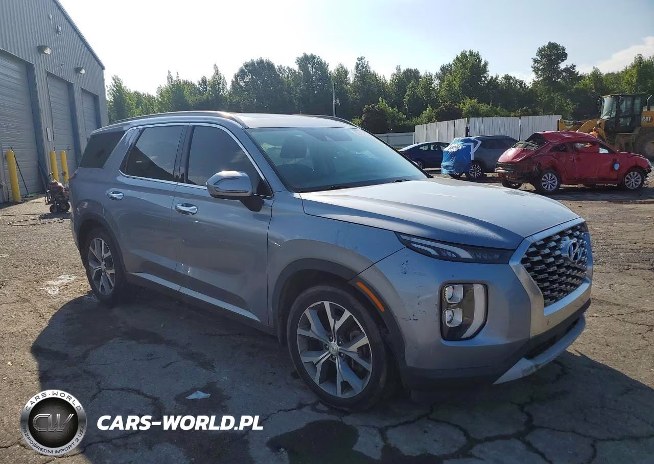 2020 Hyundai Palisade Sel VIN:KM8R3DHE1LU041106 - 4