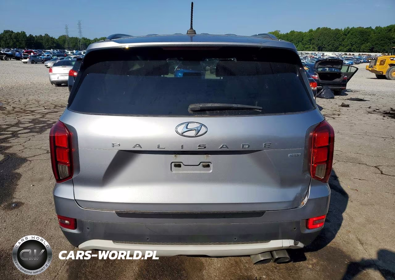 2020 Hyundai Palisade Sel VIN:KM8R3DHE1LU041106 - 6