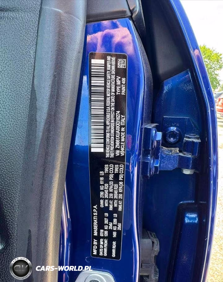 2019 Maserati Levante VIN:ZN661XUAXKX316274 - 10