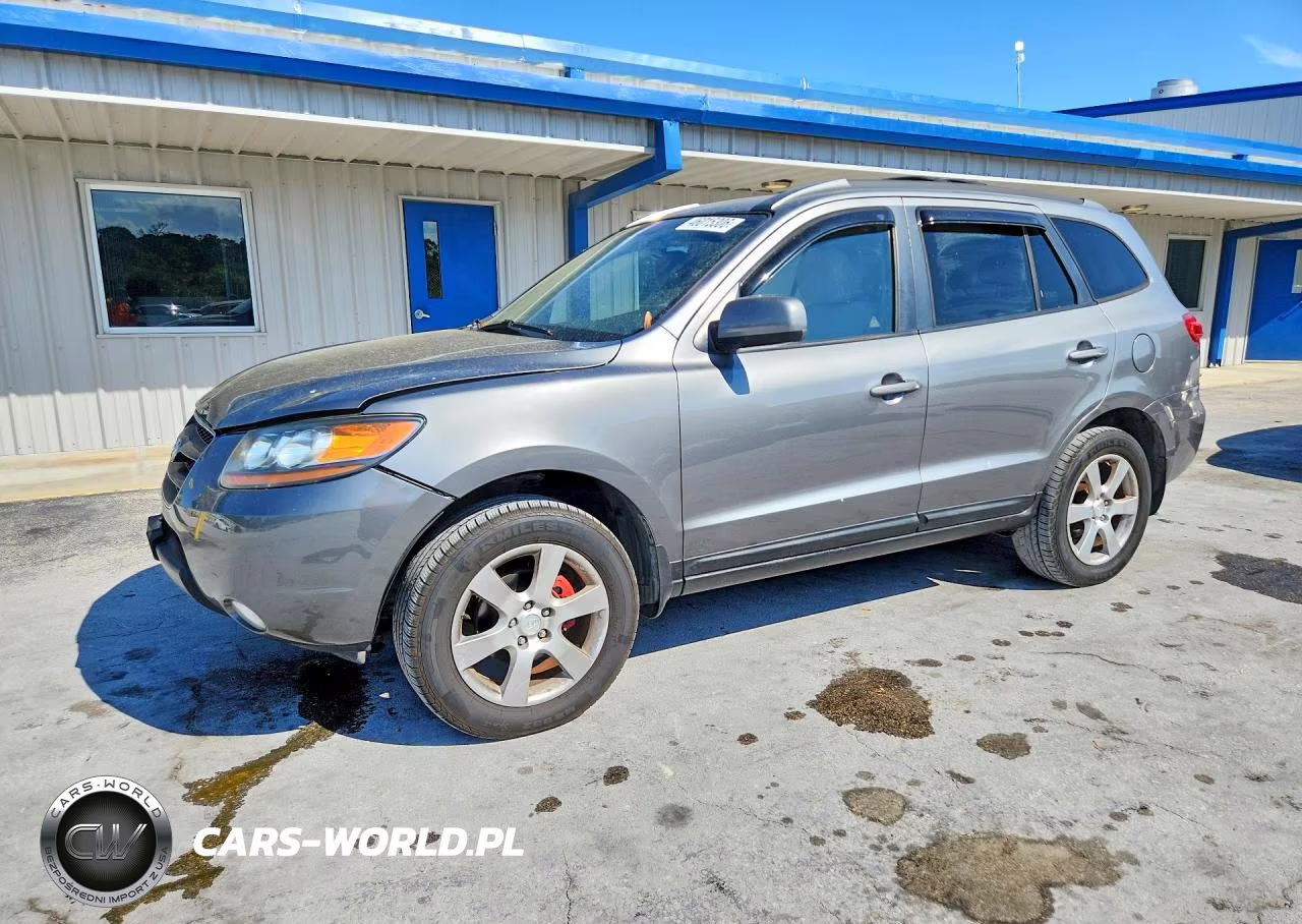 2009 Hyundai Santa Fe Se