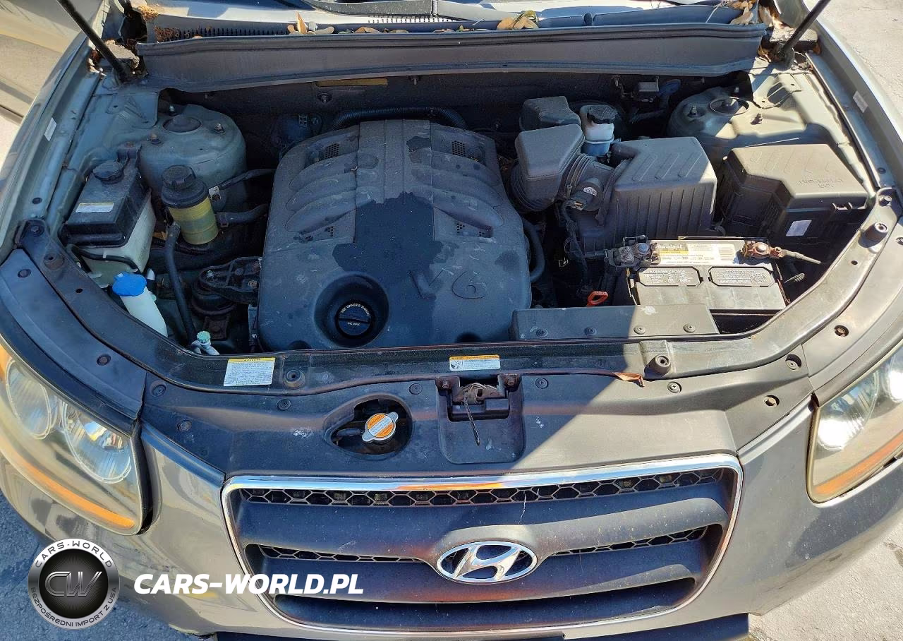 2009 Hyundai Santa Fe Se VIN:5NMSH73E19H304470 - 12