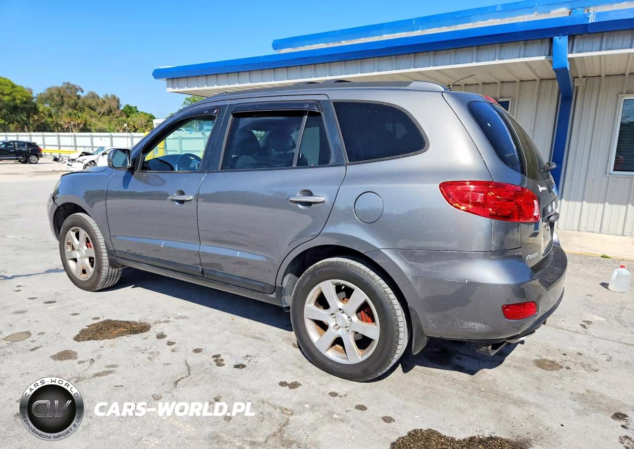 2009 Hyundai Santa Fe Se VIN:5NMSH73E19H304470 - 2