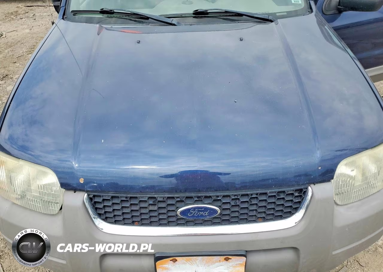 2002 Ford Escape Xlt VIN:1FMYU03132KD86458 - 12