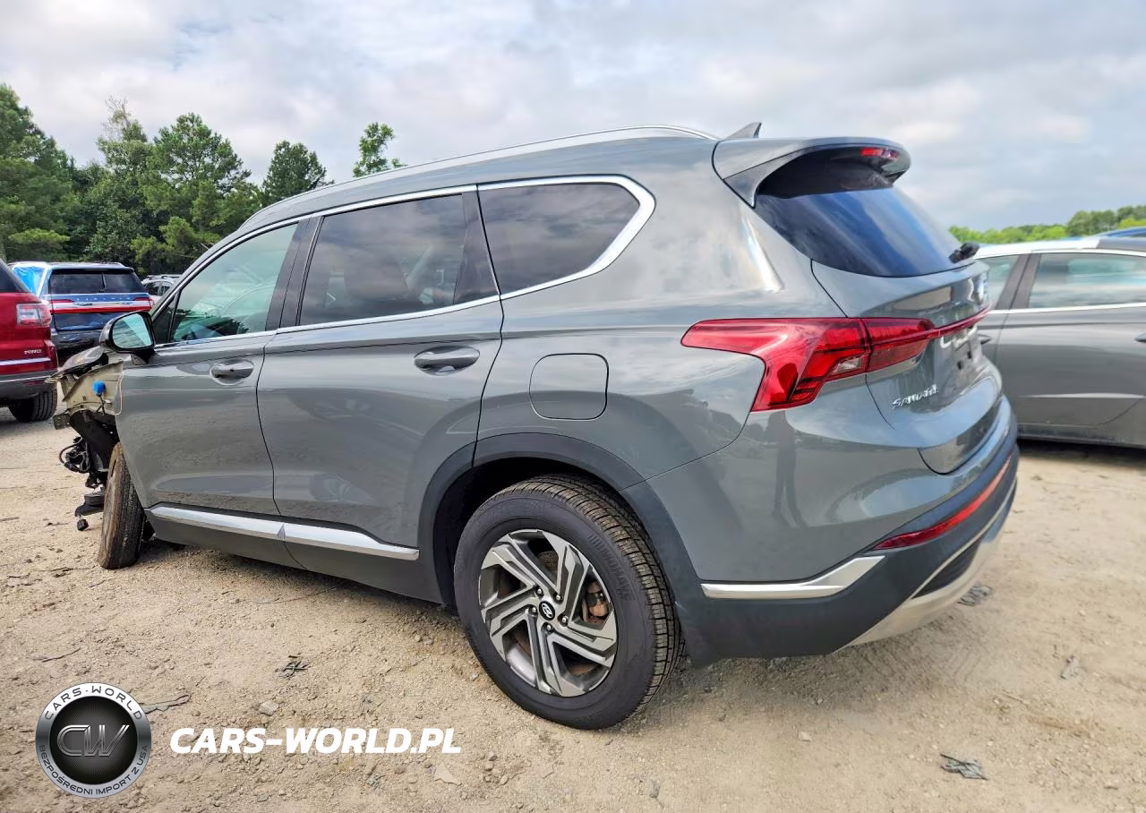 2022 Hyundai Santa Fe Sel VIN:5NMS2DAJXNH392980 - 2