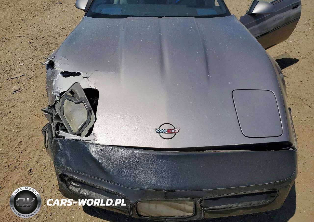 1989 Chevrolet Corvette VIN:1G1YY2182K5103284 - 11