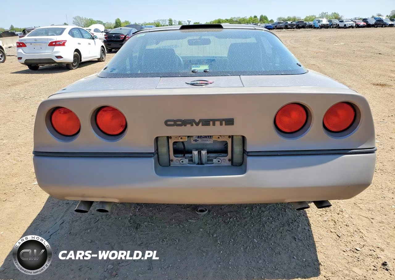1989 Chevrolet Corvette VIN:1G1YY2182K5103284 - 6