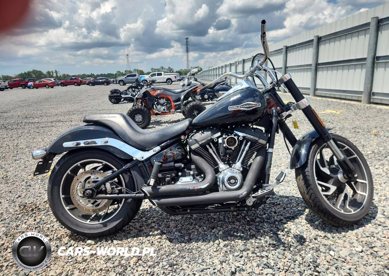 2019 Harley-Davidson Flsb – zdjęcie 1 z 9
