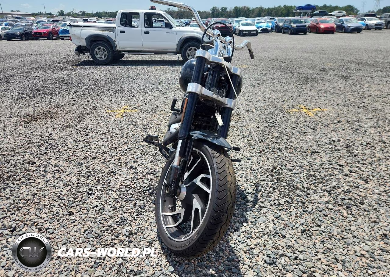 2019 Harley-Davidson Flsb VIN:1HD1YMJ27KB039310 - 2