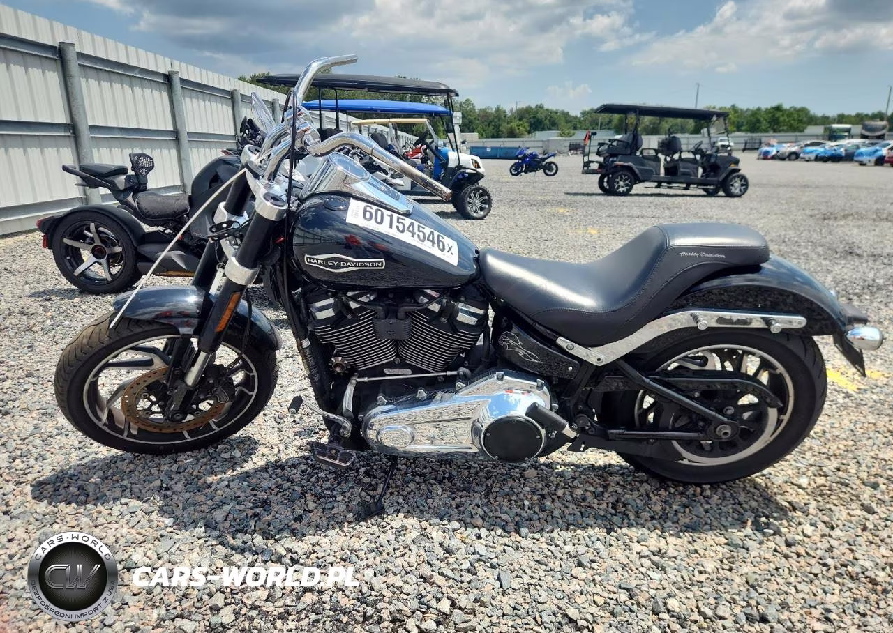 2019 Harley-Davidson Flsb VIN:1HD1YMJ27KB039310 - 3