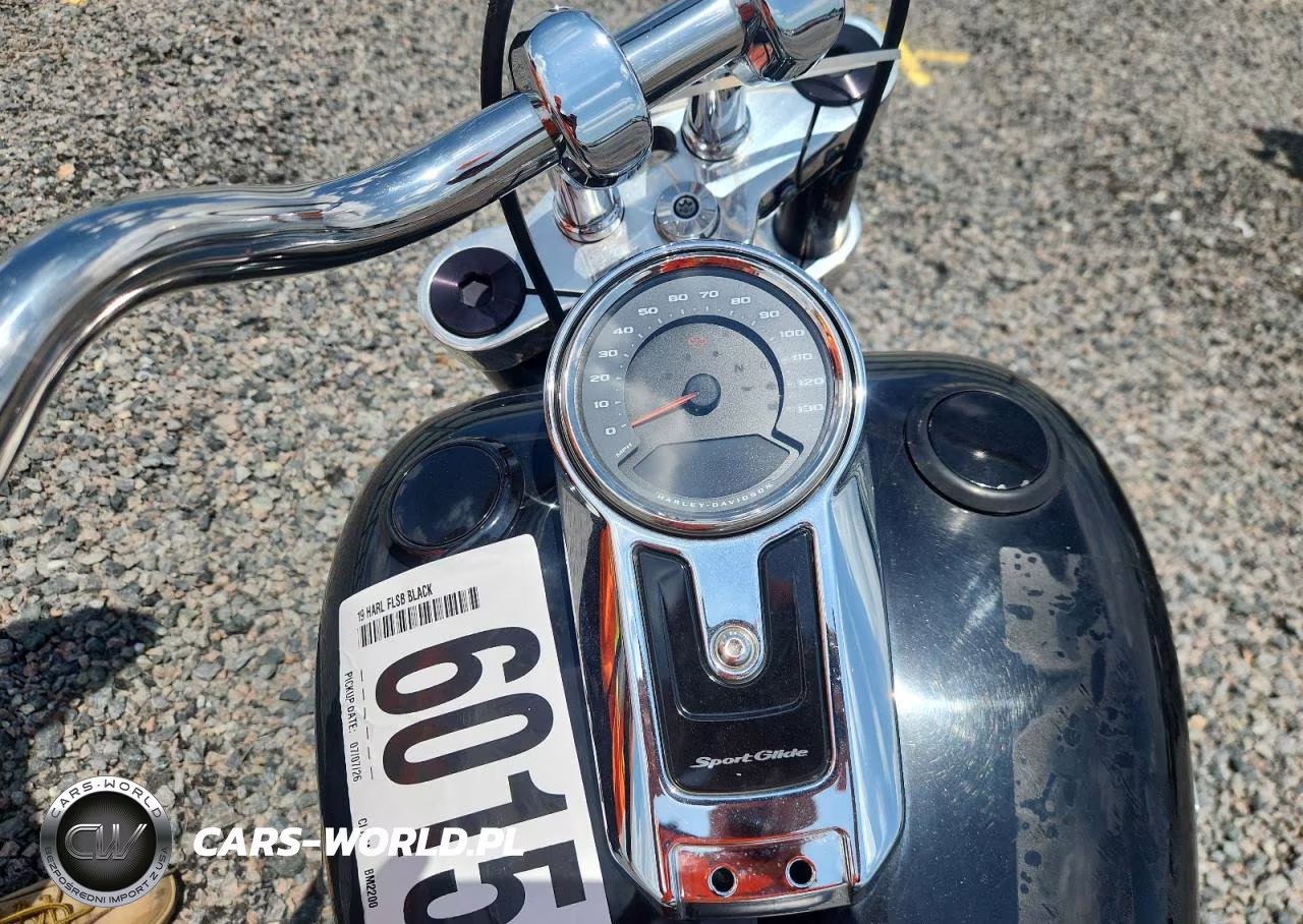 2019 Harley-Davidson Flsb VIN:1HD1YMJ27KB039310 - 7