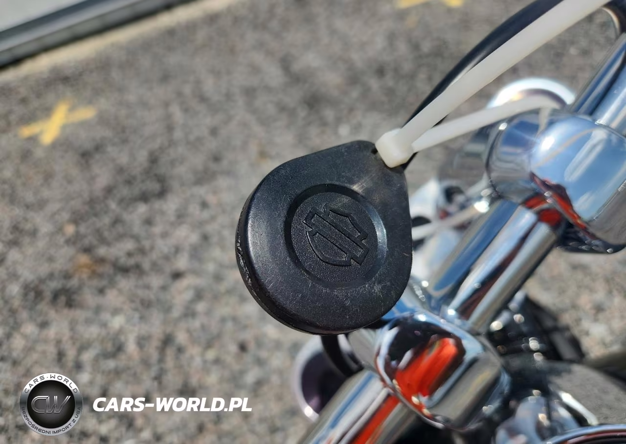 2019 Harley-Davidson Flsb VIN:1HD1YMJ27KB039310 - 8