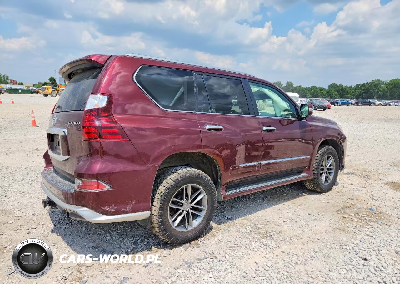 2018 Lexus Gx 460 Premium VIN:JTJJM7FXXJ5191689 - 3
