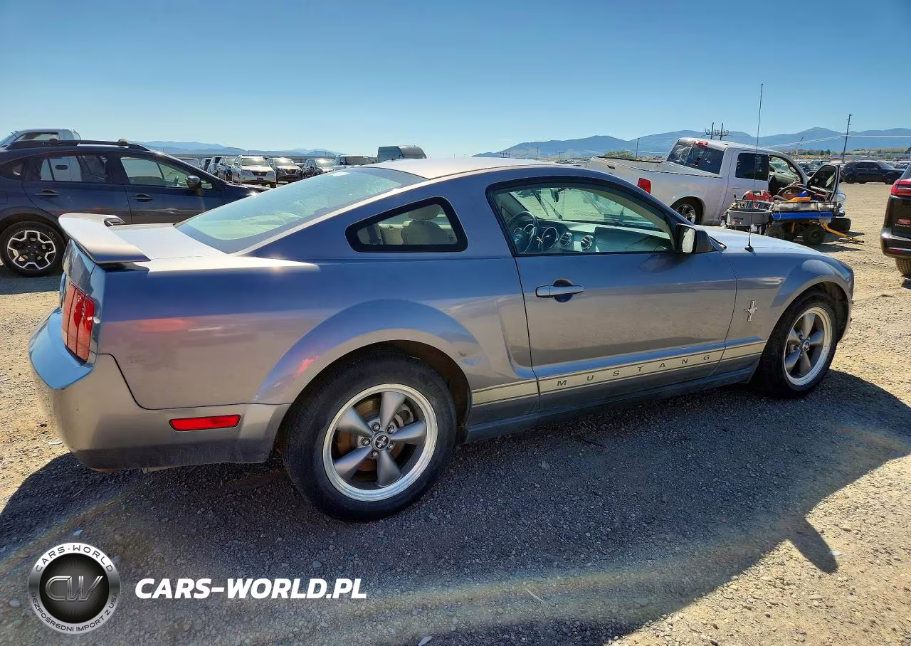 2006 Ford Mustang VIN:1ZVFT80N065129778 - 3