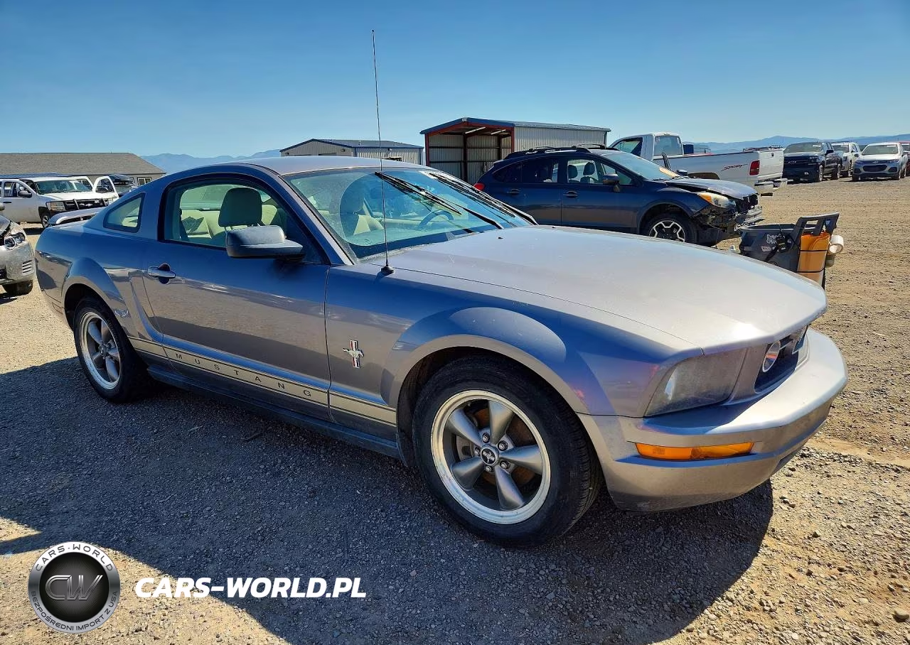 2006 Ford Mustang VIN:1ZVFT80N065129778 - 4