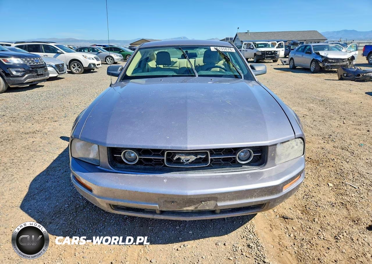 2006 Ford Mustang VIN:1ZVFT80N065129778 - 5