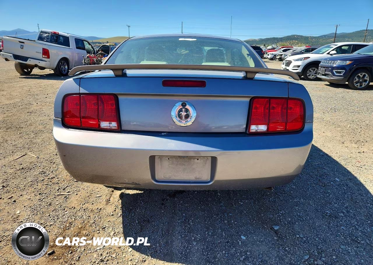 2006 Ford Mustang VIN:1ZVFT80N065129778 - 6