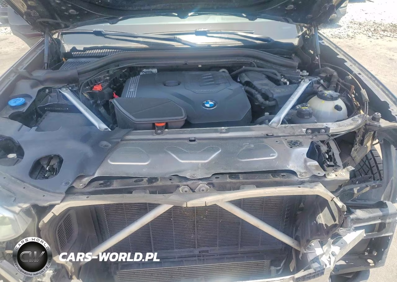 2021 BMW X3 Sdrive30I VIN:5UXTY3C06M9E04409 - 12