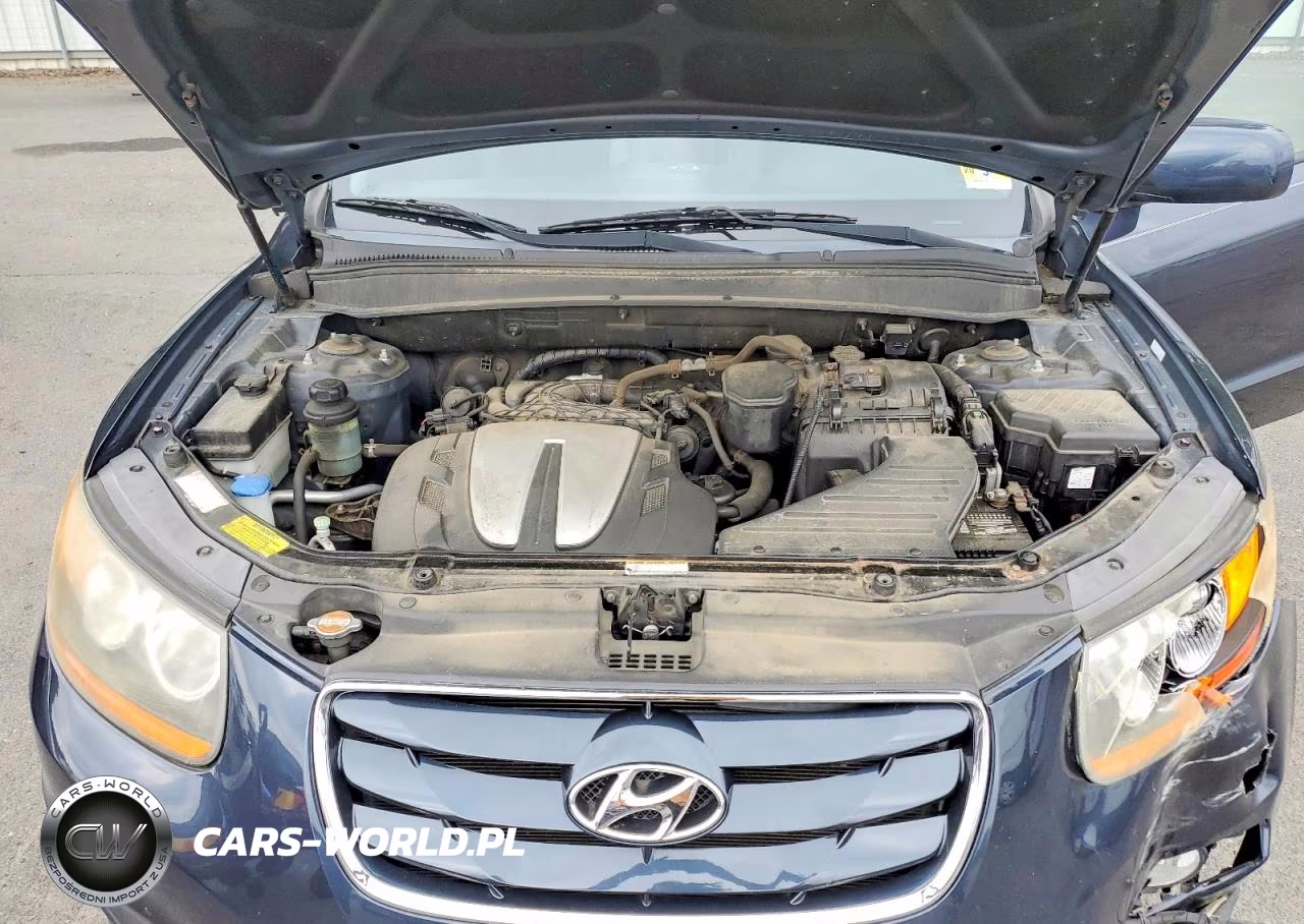 2011 Hyundai Santa Fe Se VIN:5XYZHDAG9BG063887 - 11