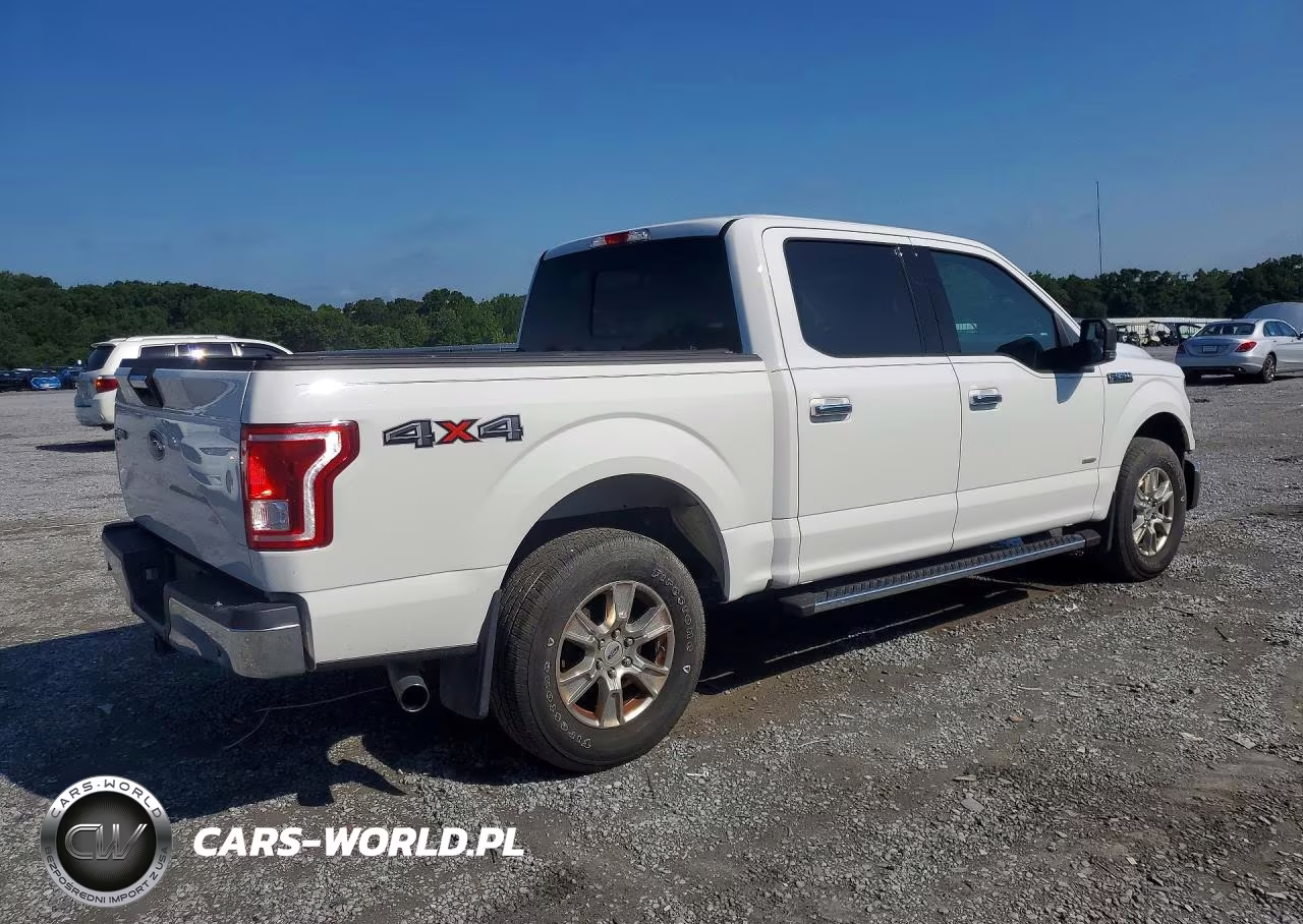 2017 Ford F150 Supercrew VIN:1FTEW1EP3HFB48118 - 3