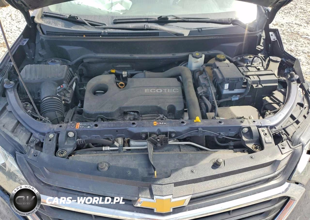 2019 Chevrolet Equinox Ls VIN:3GNAXHEV2KL255829 - 12