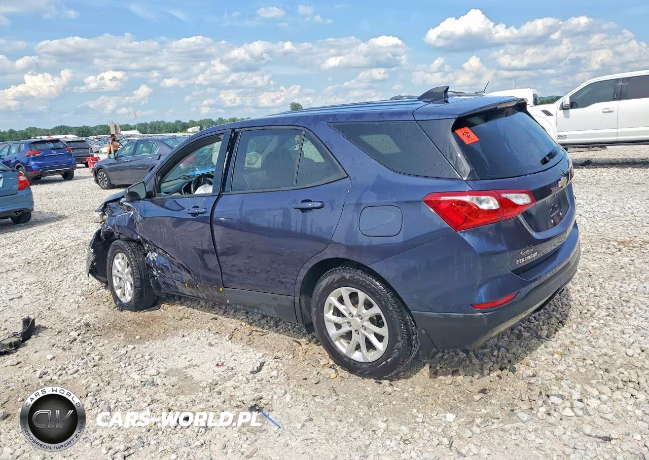 2019 Chevrolet Equinox Ls VIN:3GNAXHEV2KL255829 - 2