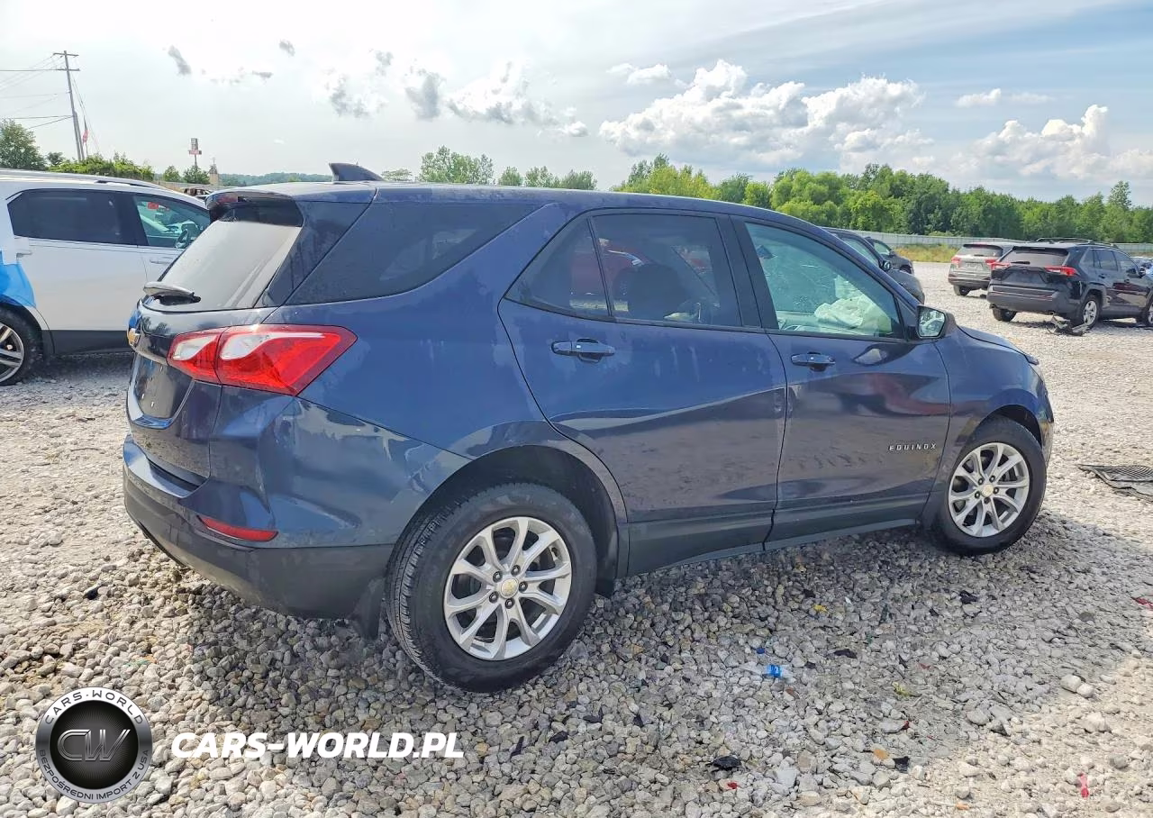 2019 Chevrolet Equinox Ls VIN:3GNAXHEV2KL255829 - 3