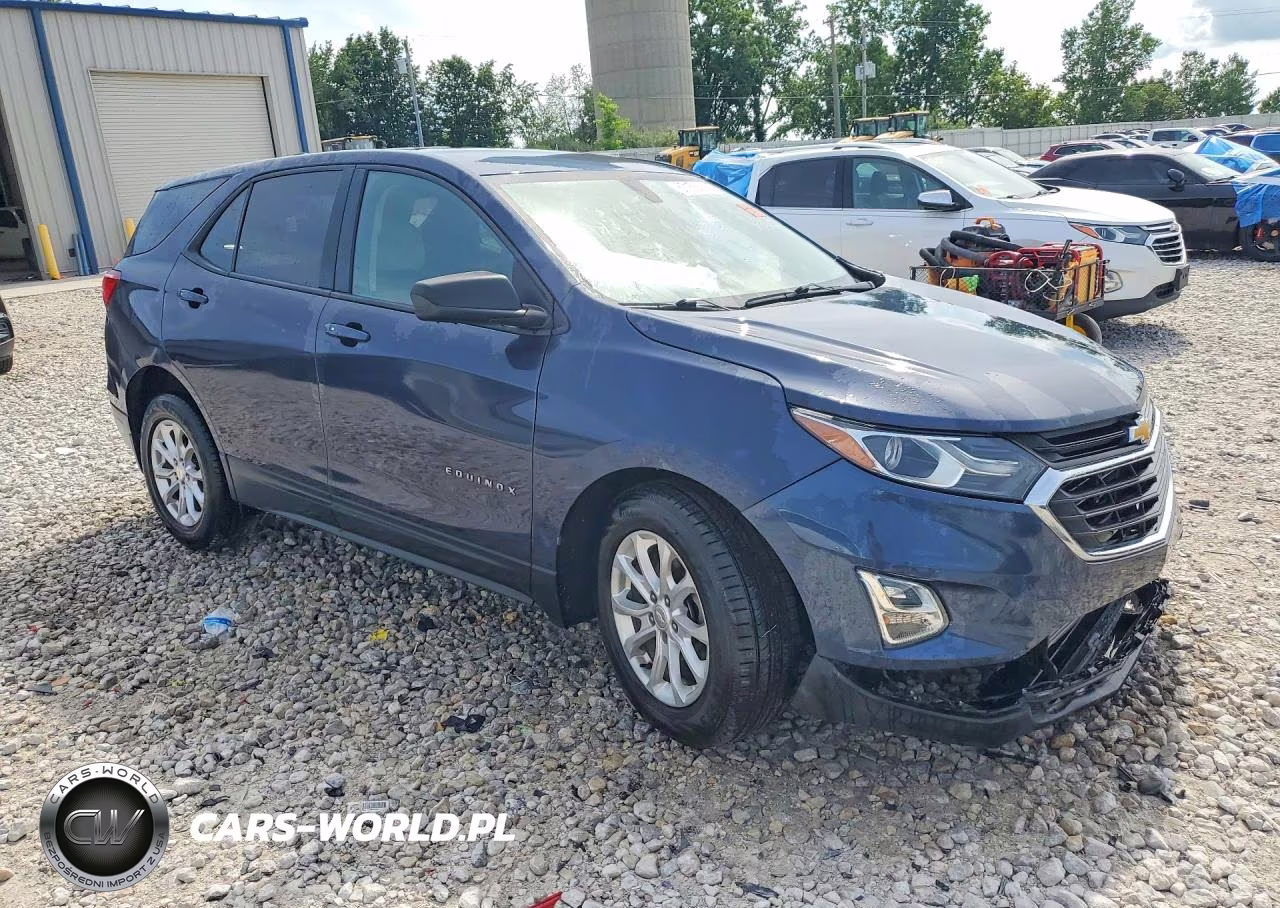 2019 Chevrolet Equinox Ls VIN:3GNAXHEV2KL255829 - 4