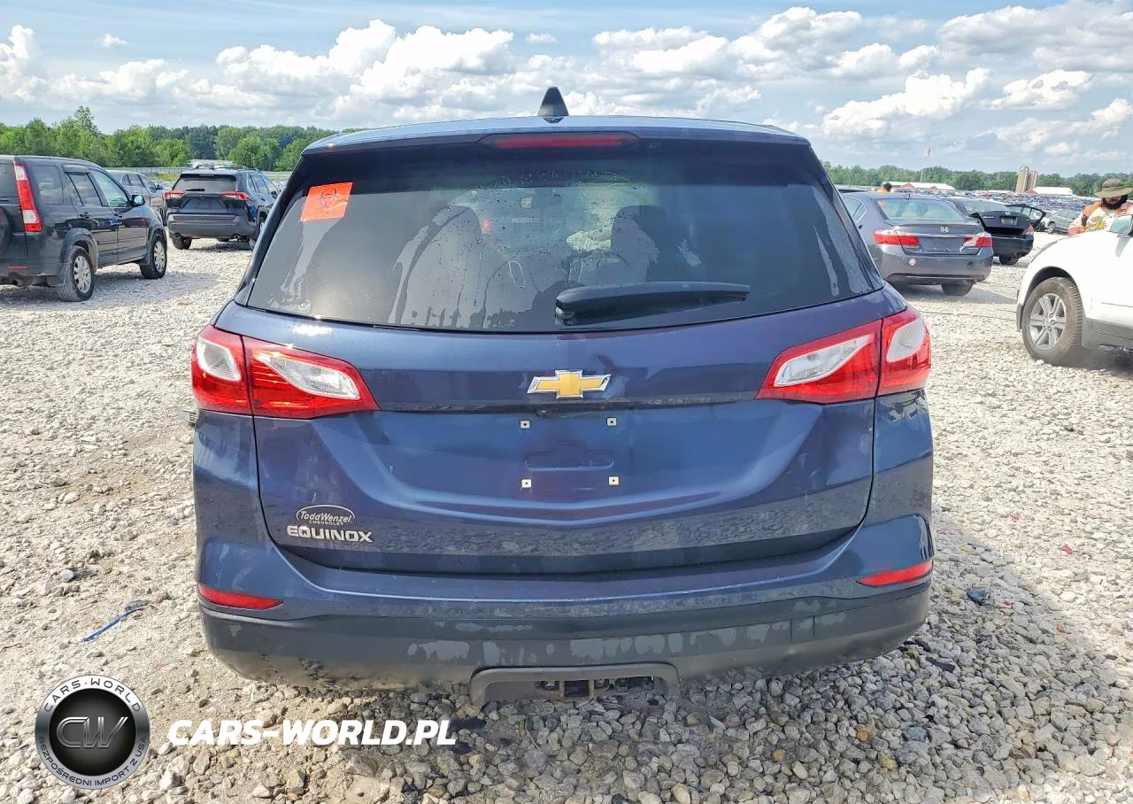 2019 Chevrolet Equinox Ls VIN:3GNAXHEV2KL255829 - 6