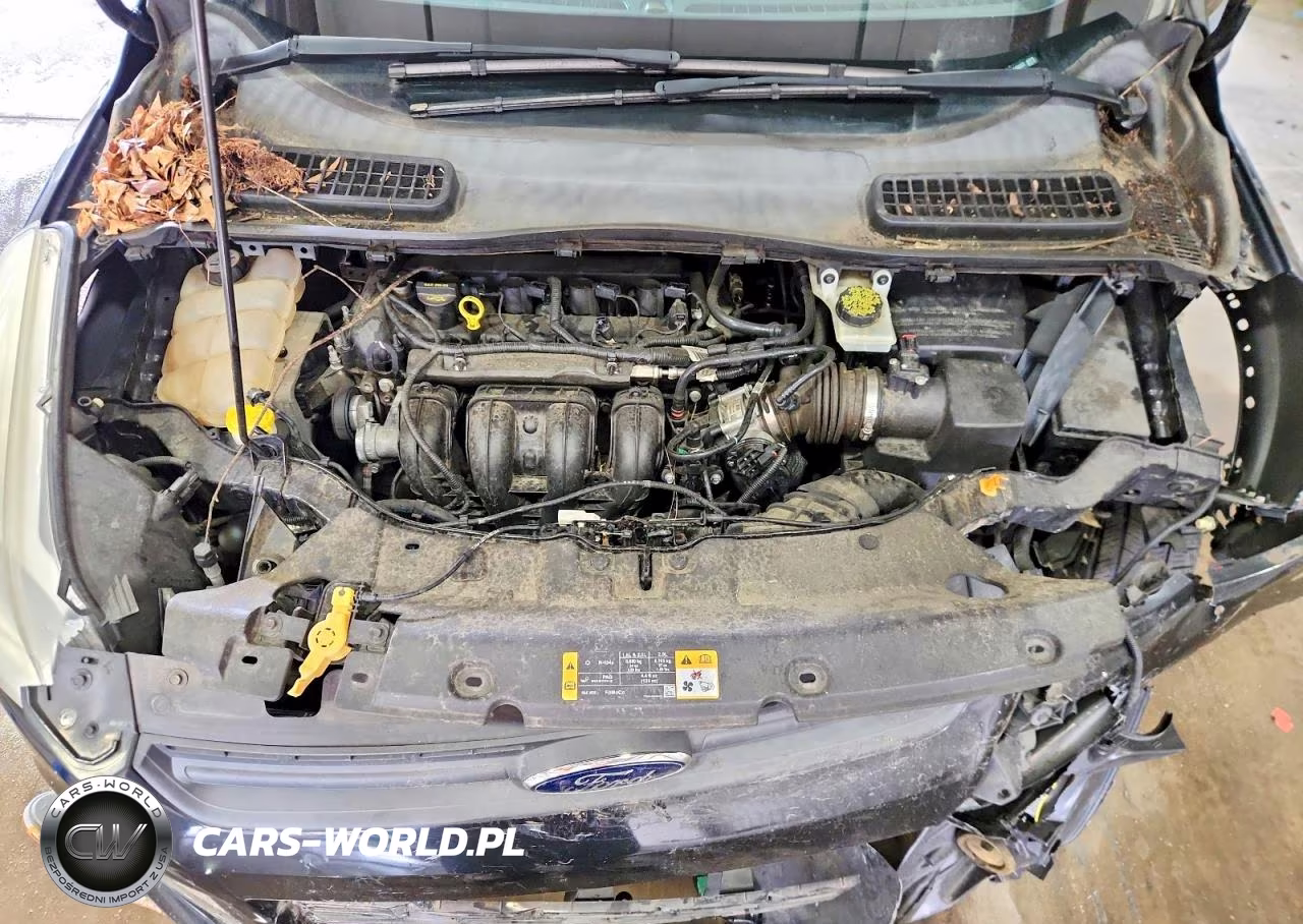 2013 Ford Escape S VIN:1FMCU0F74DUA98207 - 12