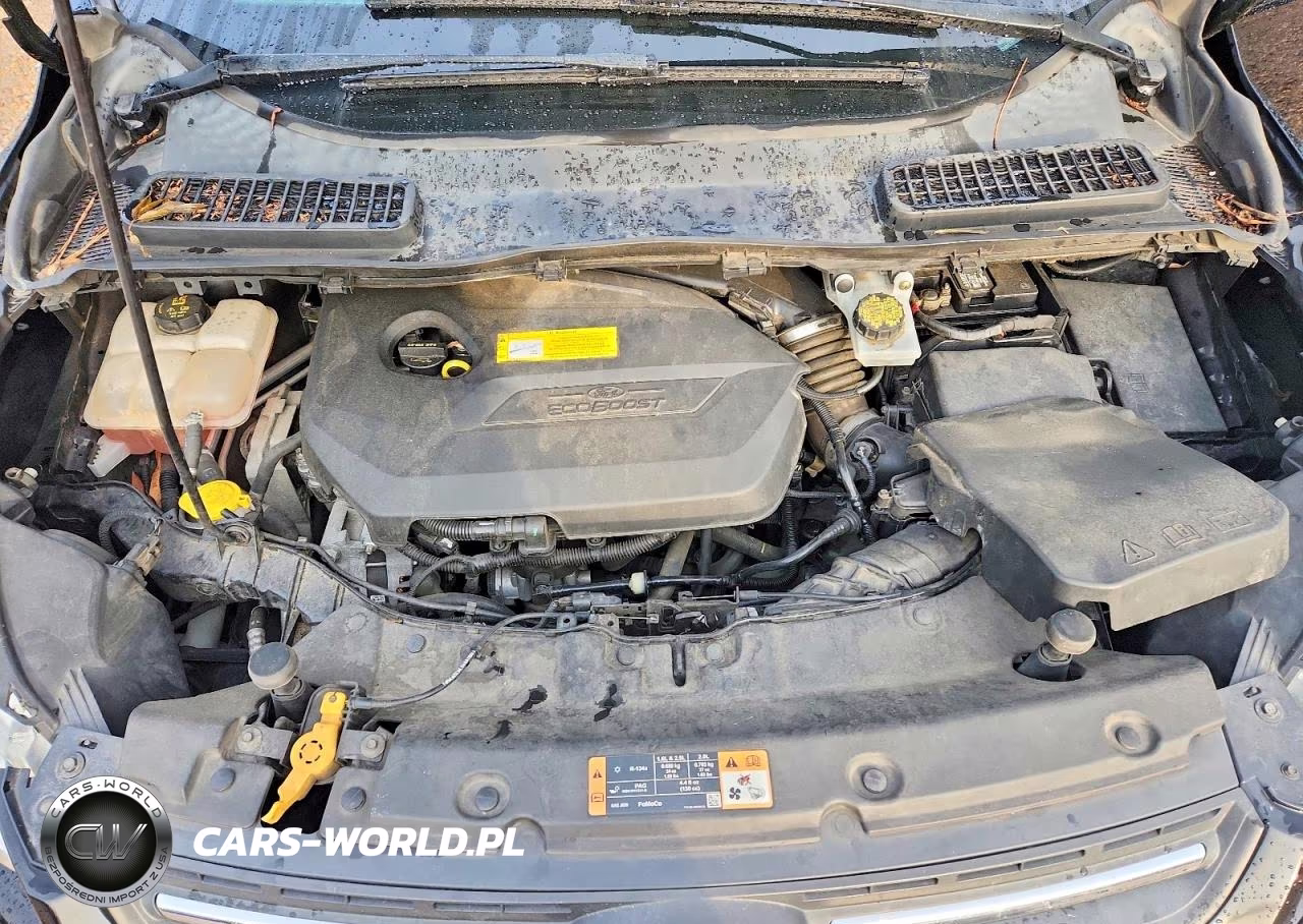2016 Ford Escape Se VIN:1FMCU0GX6GUC55478 - 11