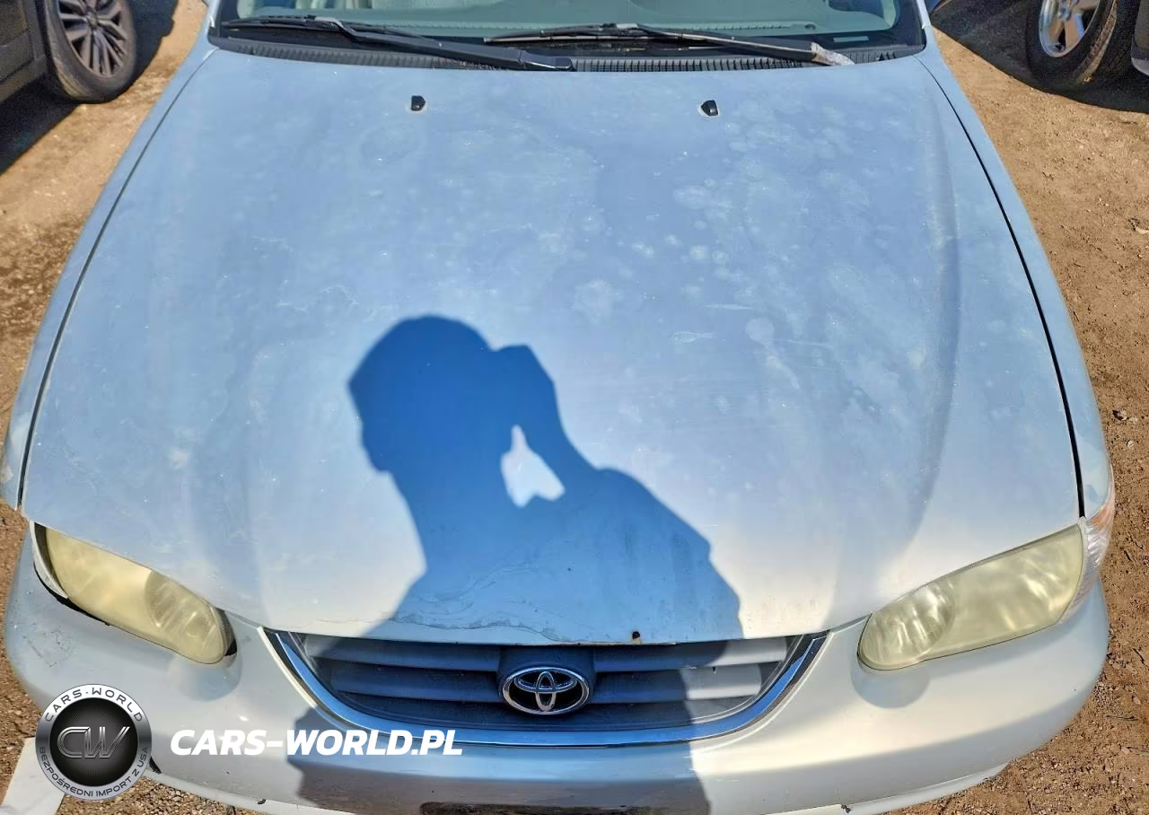 2002 Toyota Corolla Le VIN:1NXBR12E32Z643883 - 11