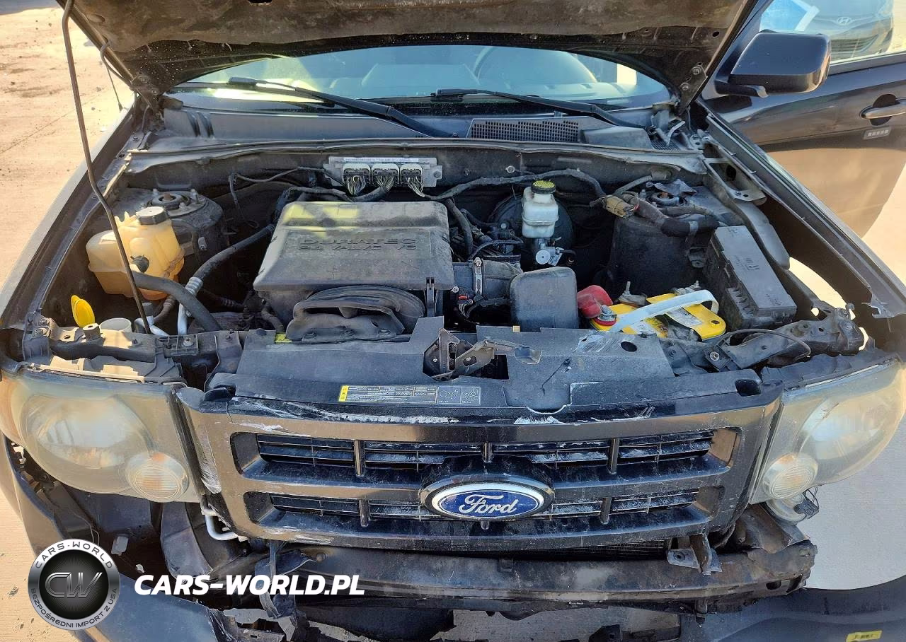 2011 Ford Escape Xlt VIN:1FMCU9DG2BKA68364 - 12