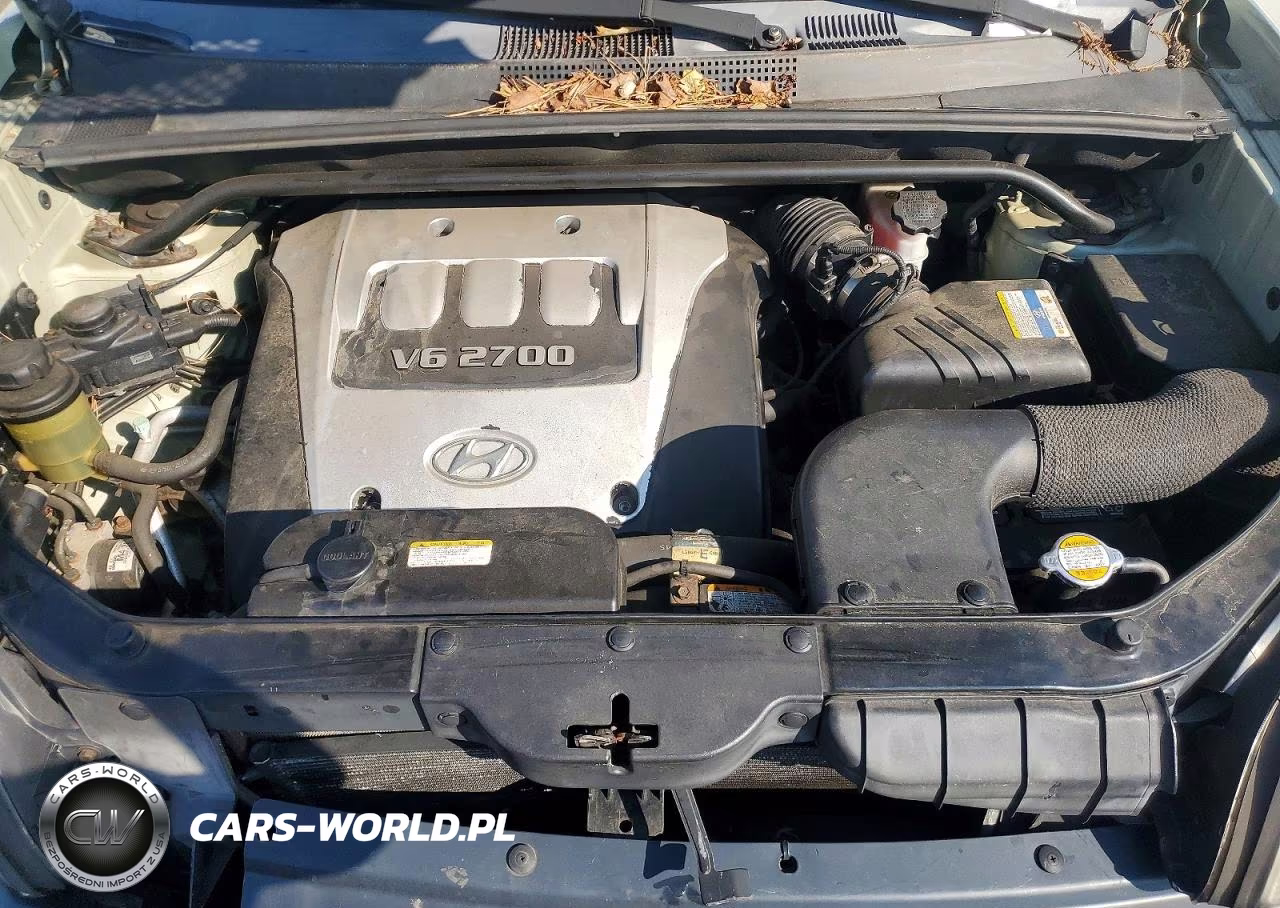2006 Hyundai Tucson Gls VIN:KM8JN12D16U378904 - 11