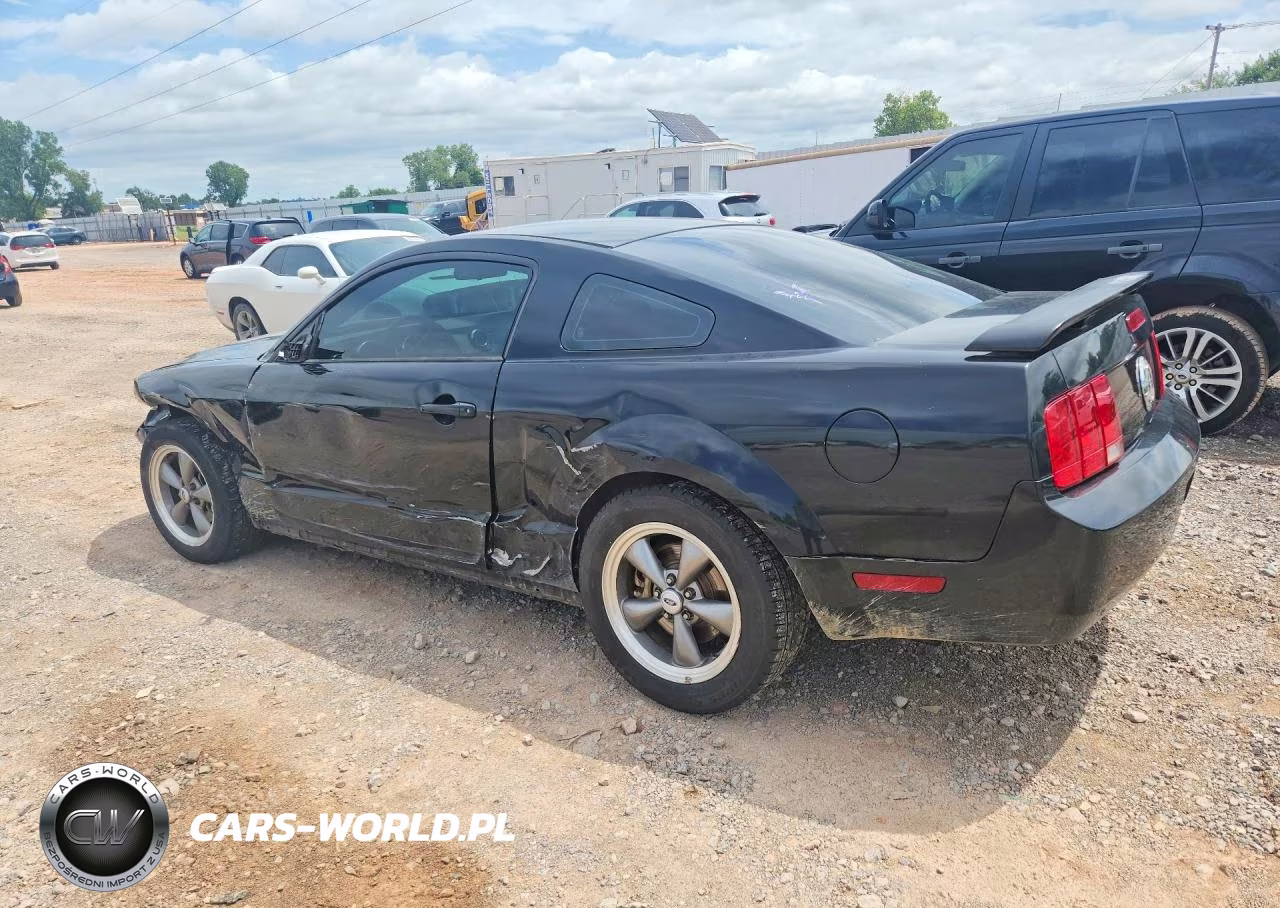 2006 Ford Mustang VIN:1ZVFT80N965139466 - 2