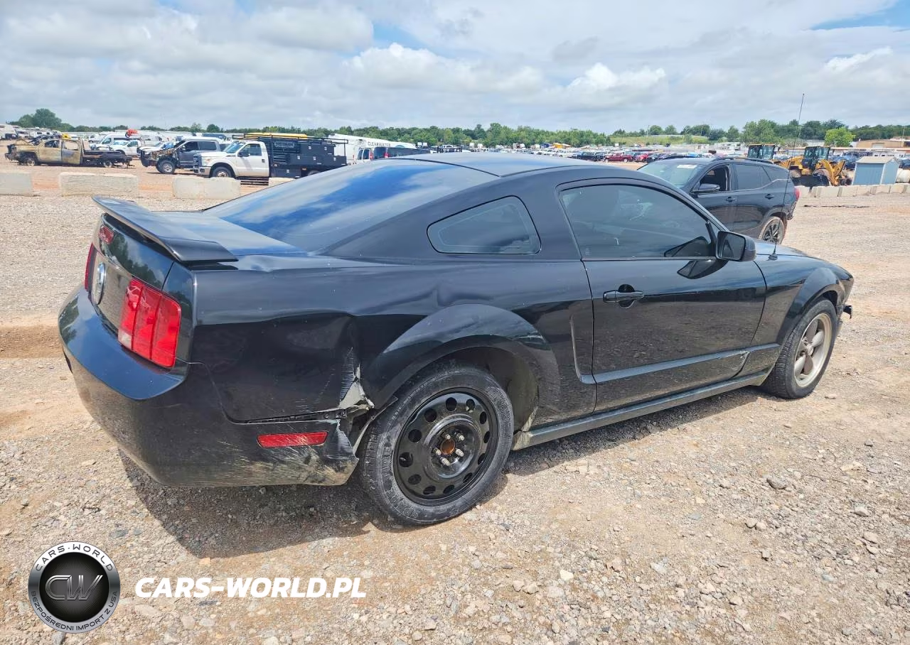 2006 Ford Mustang VIN:1ZVFT80N965139466 - 3