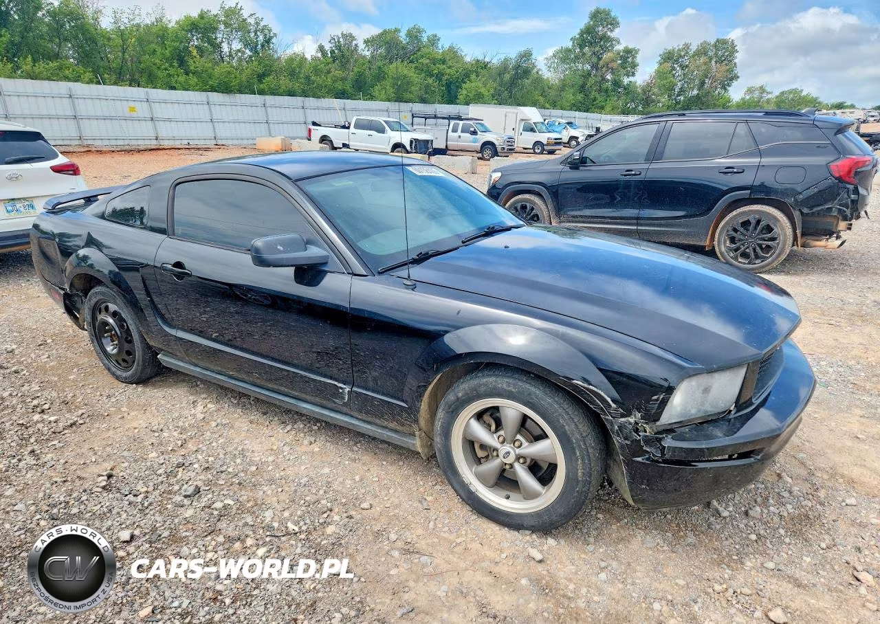 2006 Ford Mustang VIN:1ZVFT80N965139466 - 4