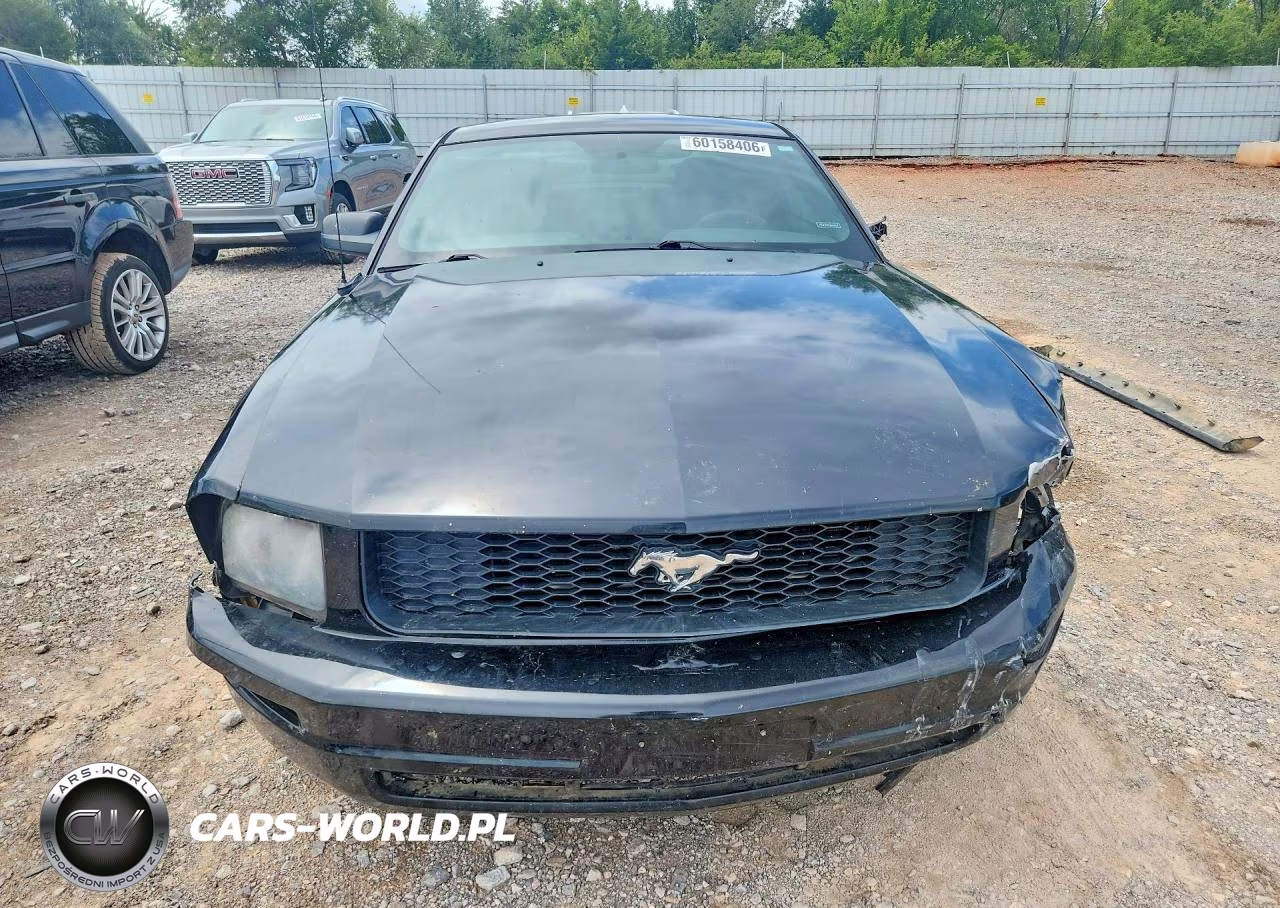 2006 Ford Mustang VIN:1ZVFT80N965139466 - 5