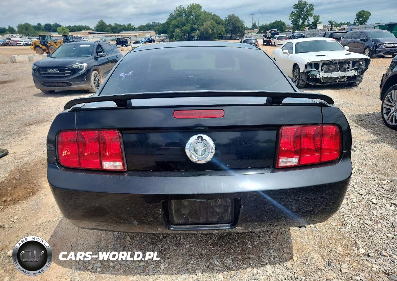 2006 Ford Mustang VIN:1ZVFT80N965139466 - 6