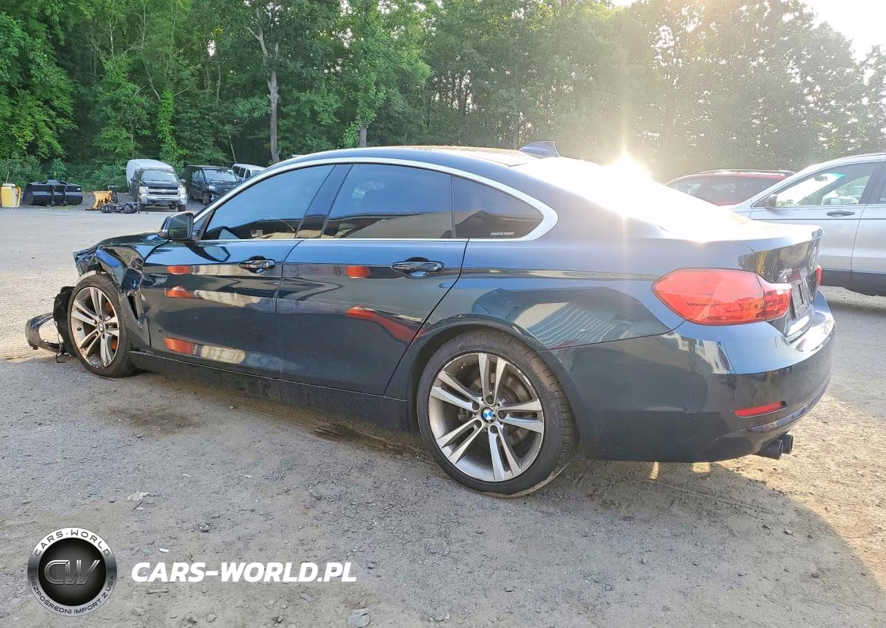 2017 BMW 430Xi Gran Coupe VIN:WBA4F9C37HG812289 - 2