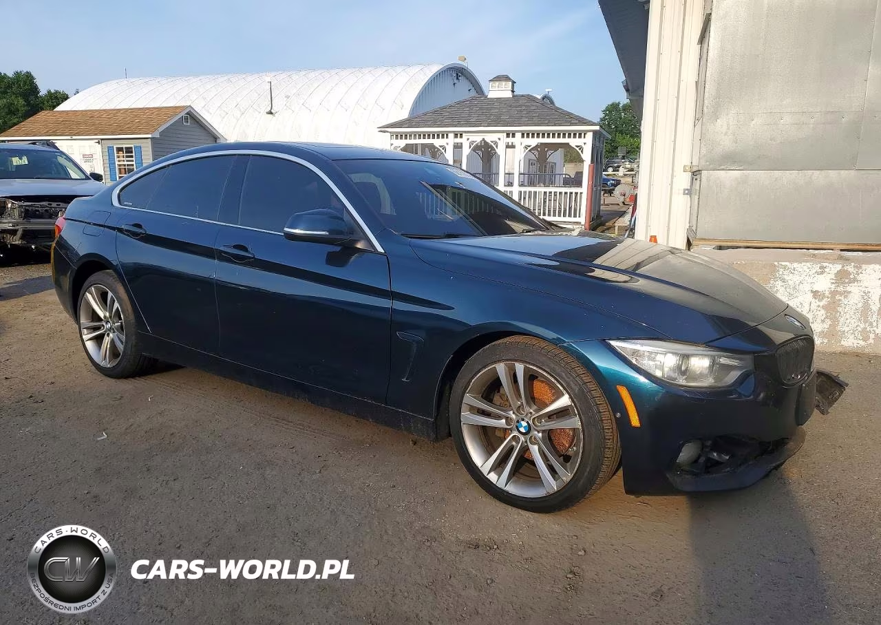 2017 BMW 430Xi Gran Coupe VIN:WBA4F9C37HG812289 - 4