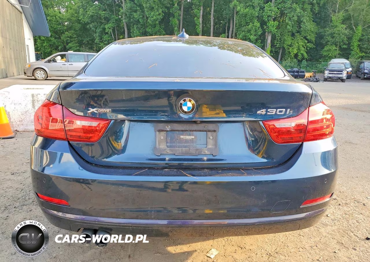 2017 BMW 430Xi Gran Coupe VIN:WBA4F9C37HG812289 - 6
