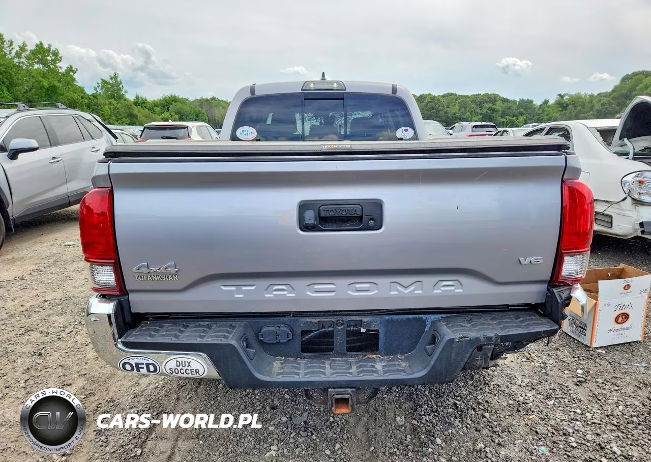 2019 Toyota Tacoma Sr5 V6 VIN:3TMDZ5BN3KM068466 - 6