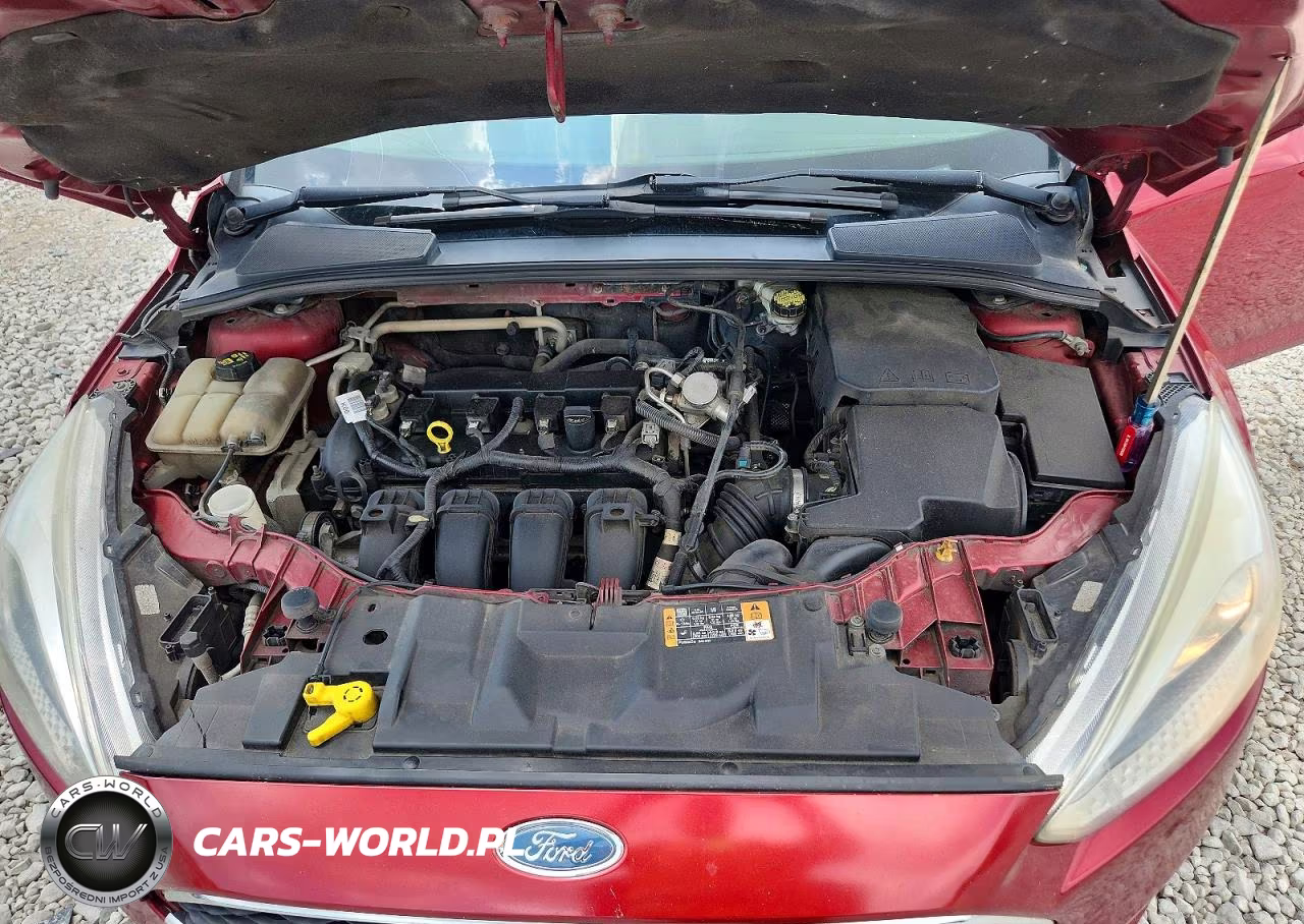 2016 Ford Focus Se VIN:1FADP3F25GL376456 - 11
