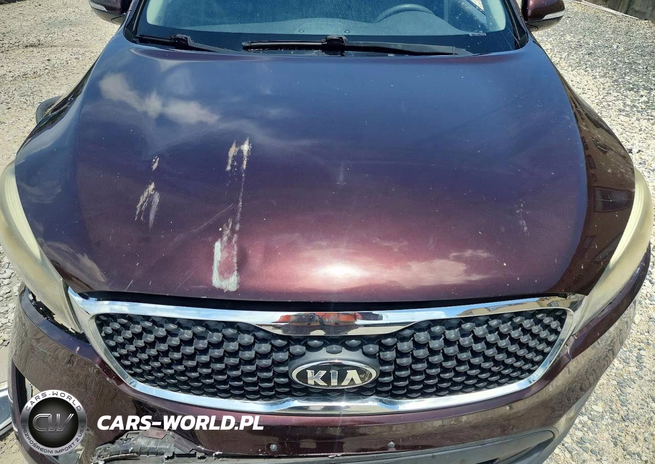 2016 Kia Sorento Lx VIN:5XYPG4A53GG019853 - 11