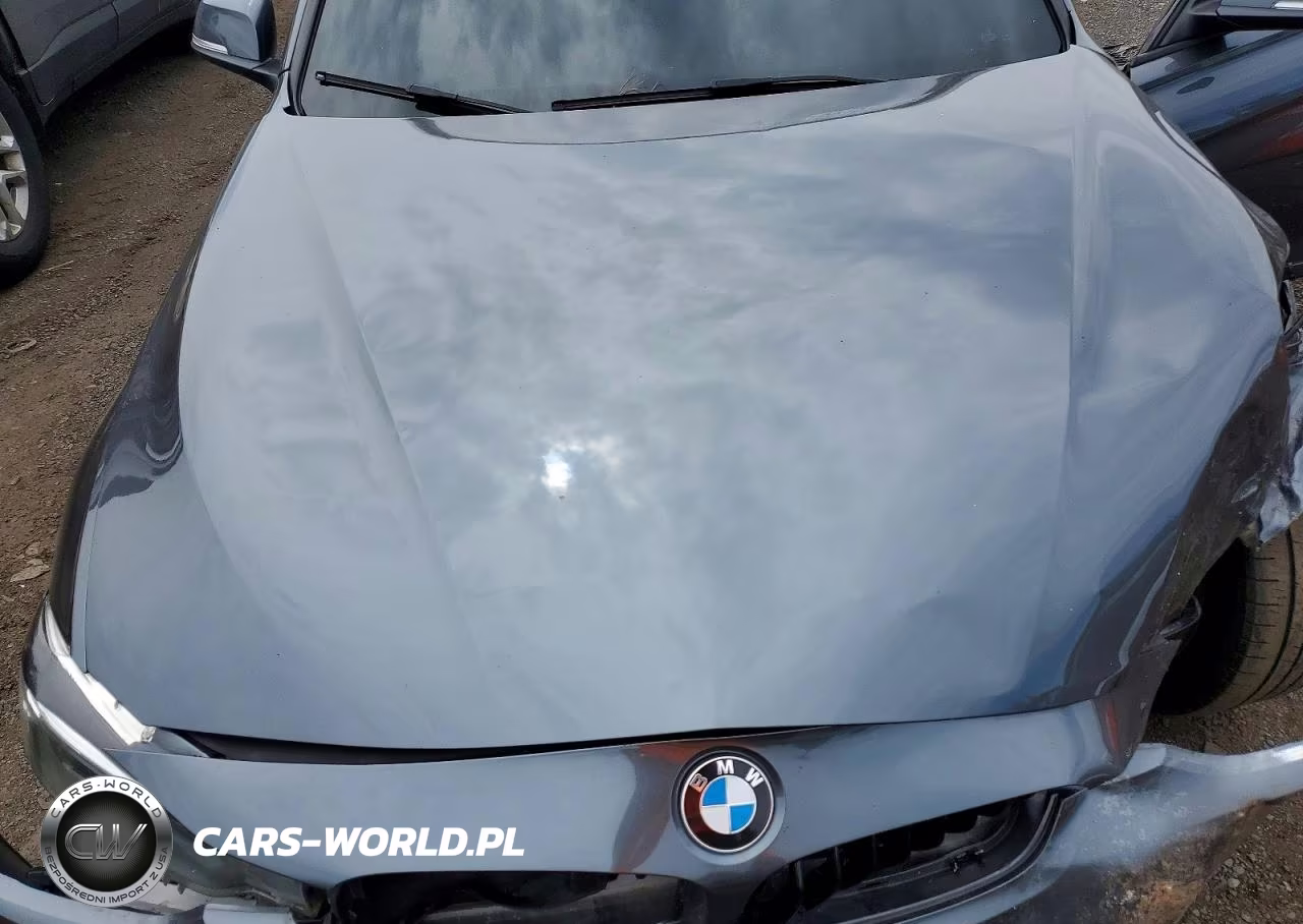 2017 BMW 320 Xi VIN:WBA8E5G34HNU42616 - 11