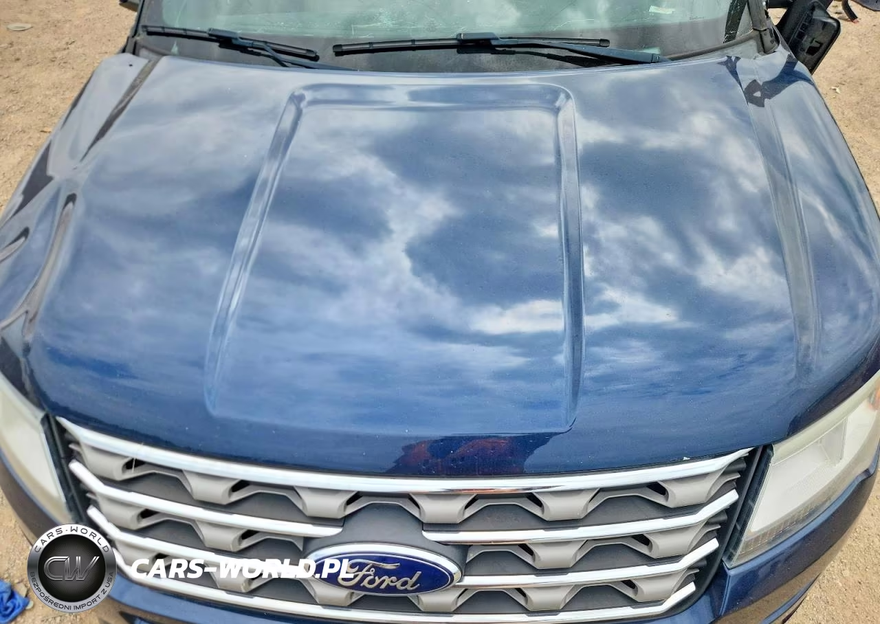 2016 Ford Explorer Xlt VIN:1FM5K7D85GGC35452 - 11