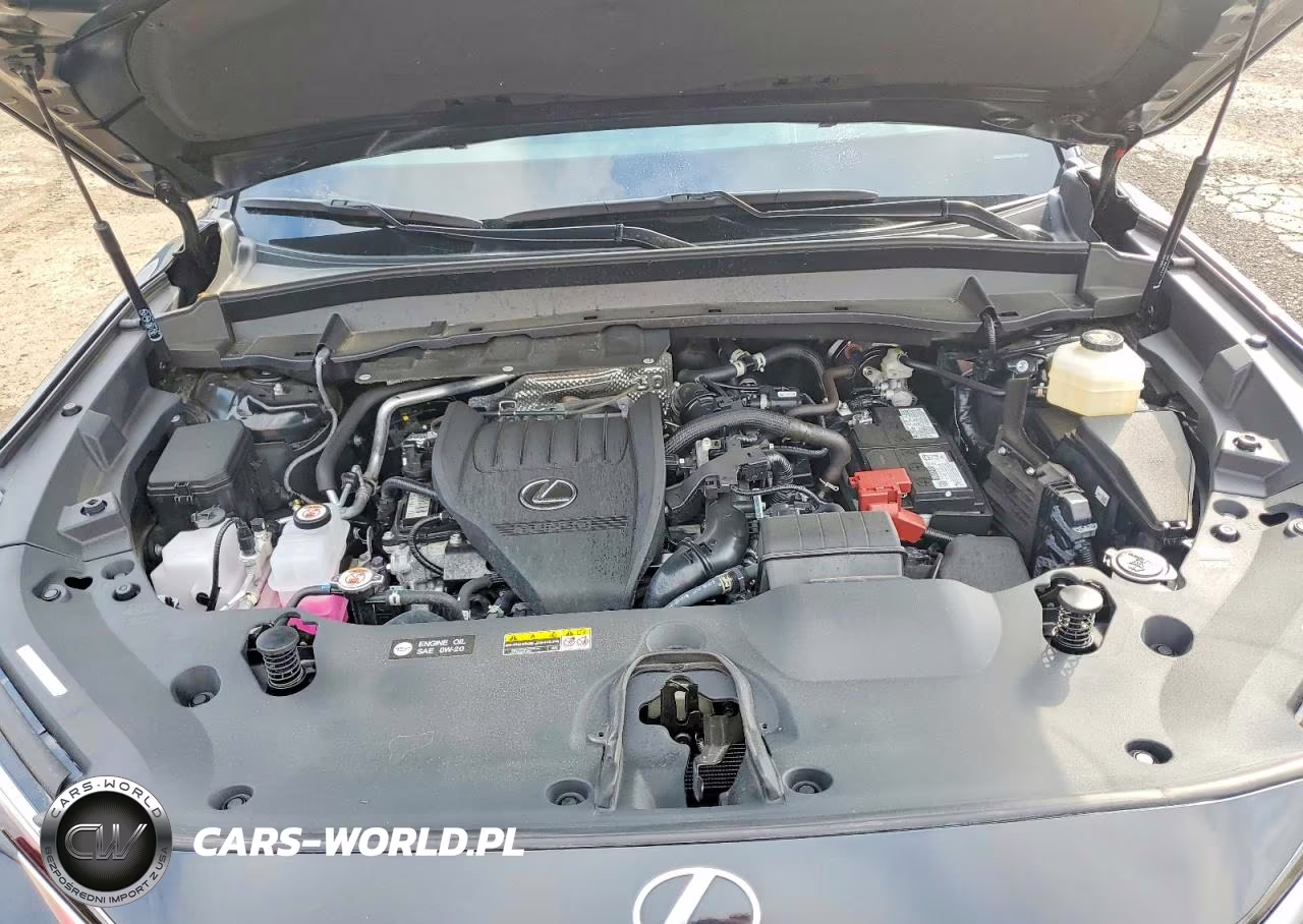 2025 Lexus Tx 350 Luxury VIN:5TDAAAB66SS039426 - 12