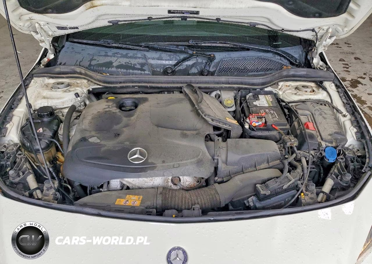 2014 Mercedes-Benz Cla 250 VIN:WDDSJ4EB2EN052561 - 11