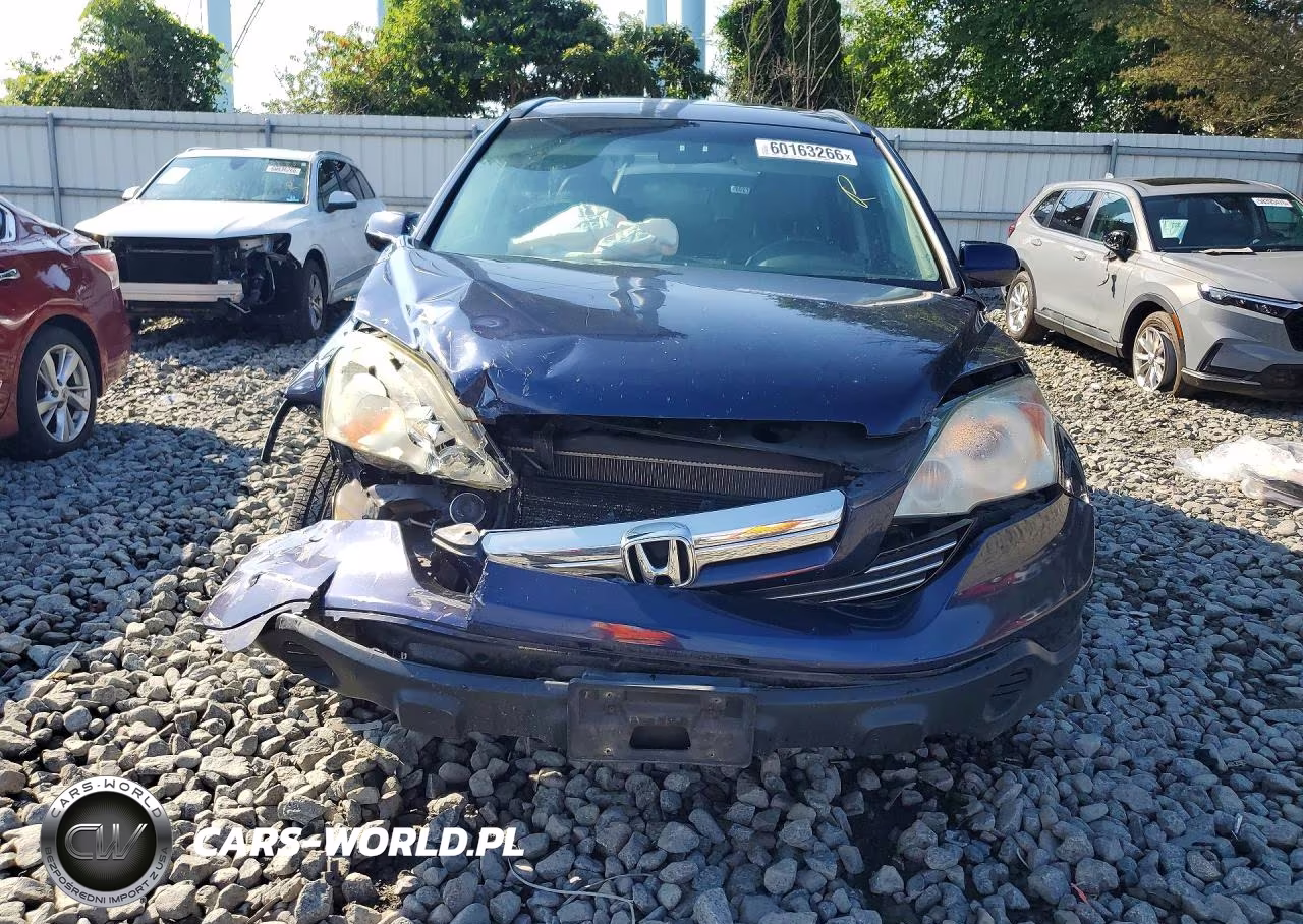 2009 Honda Cr-V Exl VIN:5J6RE48759L036192 - 5